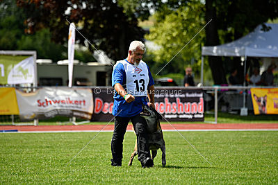 King Extra Temperament