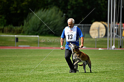 King Extra Temperament