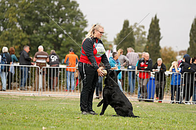 King vom Tim Thaler