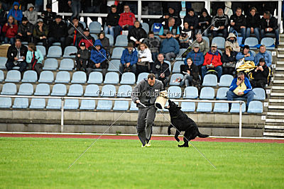 King vom Tim Thaler
