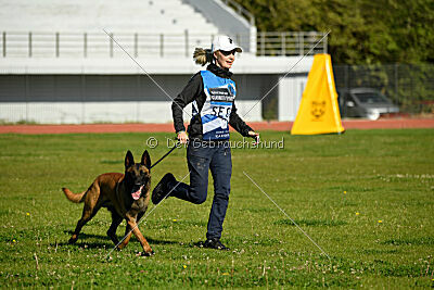 Kingsley du Baudet Rouge