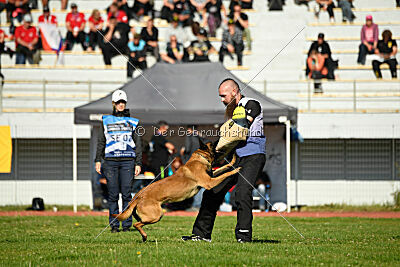 Kingsley du Baudet Rouge