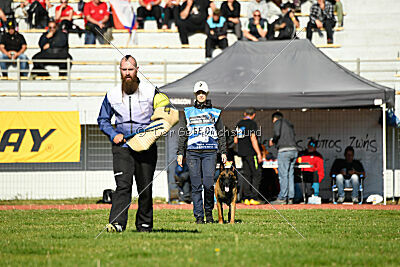 Kingsley du Baudet Rouge
