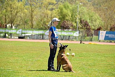 Kingsley du Baudet Rouge