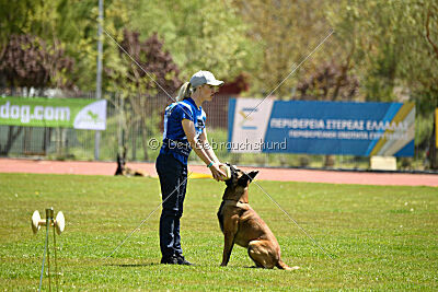 Kingsley du Baudet Rouge