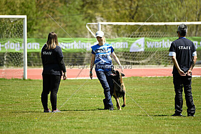 Kingsley du Baudet Rouge