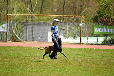Kingsley du Baudet Rouge
