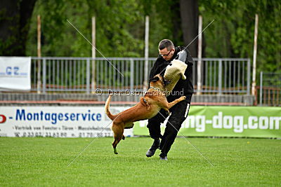 Kiolo vom Falkenstock