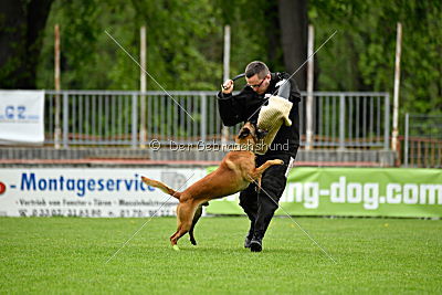 Kiolo vom Falkenstock