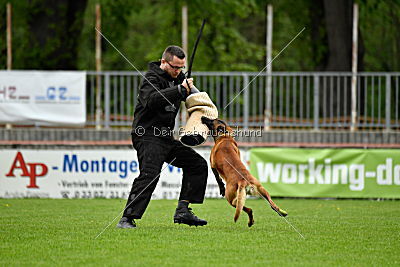 Kiolo vom Falkenstock