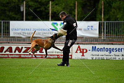 Kiolo vom Falkenstock