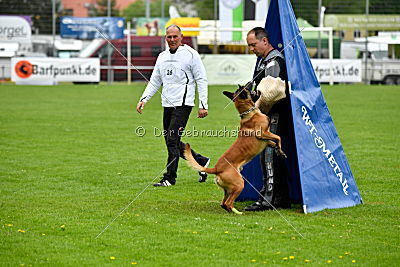 Kiolo vom Falkenstock