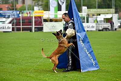 Kiolo vom Falkenstock