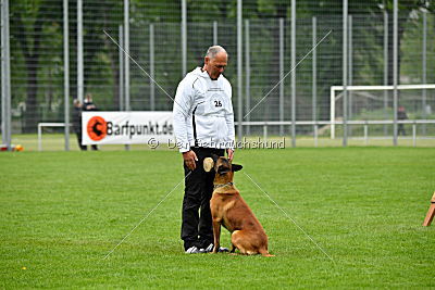 Kiolo vom Falkenstock