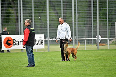 Kiolo vom Falkenstock