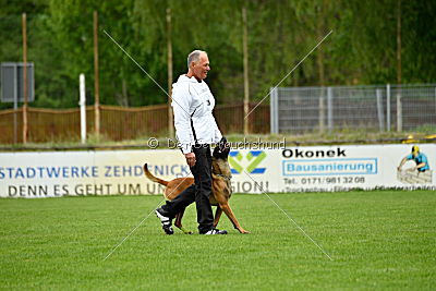 Kiolo vom Falkenstock