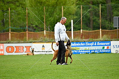 Kiolo vom Falkenstock