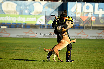 Kleo vom Causa Nostre Letitia