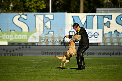 Kleo vom Causa Nostre Letitia