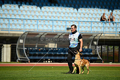 Kleo vom Causa Nostre Letitia