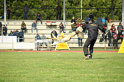 Kleo vom Causa Nostre Letitia