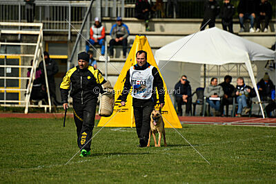 Kleo vom Causa Nostre Letitia