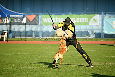 Kleo vom Causa Nostre Letitia