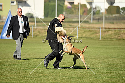 Kleo vom Herrenberger Schloss