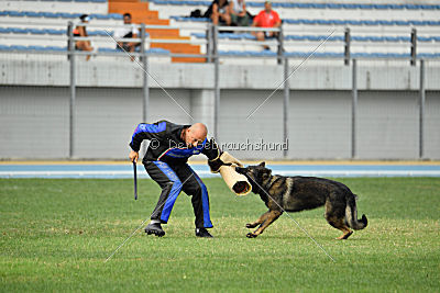 Kliff vom Floyd Haus