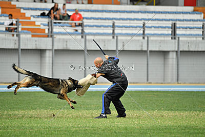Kliff vom Floyd Haus