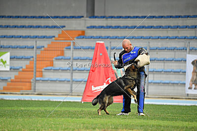 Kliff vom Floyd Haus