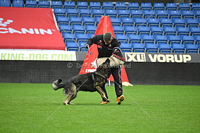 Kliff vom Floyd Haus