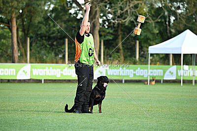 Kliff vom Kriegsdamm