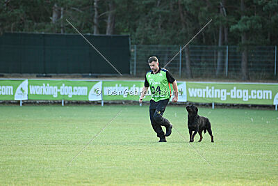 Kliff vom Kriegsdamm