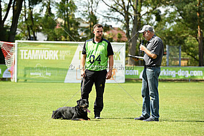 Kliff vom Kriegsdamm