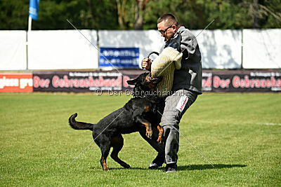 Kliff vom Kriegsdamm