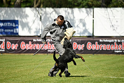 Kliff vom Kriegsdamm
