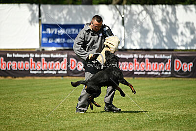 Kliff vom Kriegsdamm