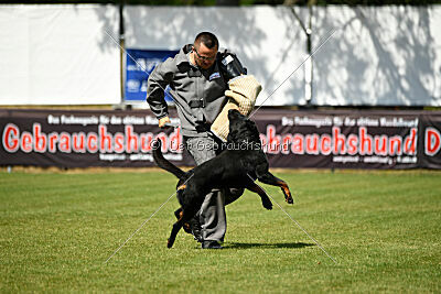 Kliff vom Kriegsdamm