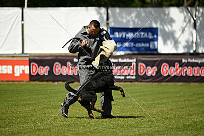 Kliff vom Kriegsdamm