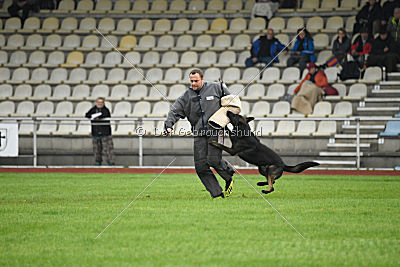 Kliff von der Friesenklippe