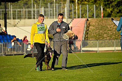 Kliff von der Friesenklippe