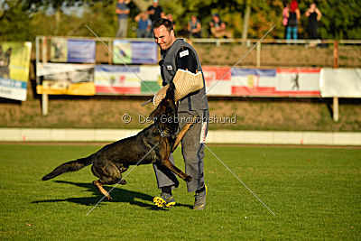 Kliff von der Friesenklippe