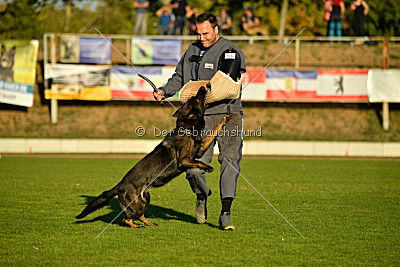 Kliff von der Friesenklippe