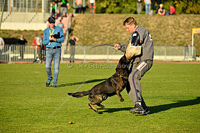 Kliff von der Friesenklippe