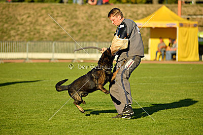 Kliff von der Friesenklippe