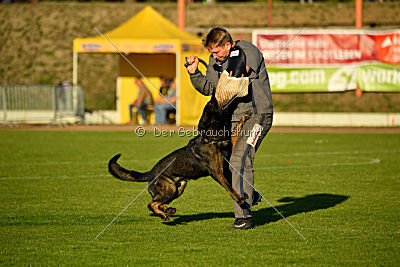 Kliff von der Friesenklippe
