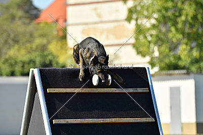 Kliff von der Friesenklippe