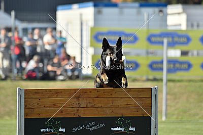 Kliff von der Friesenklippe