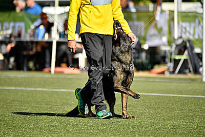 Kliff von der Friesenklippe